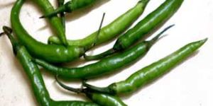 Fresh Green Chilli
