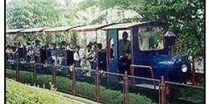 Mini Train