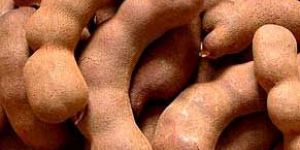 Tamarind