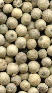 White Pepper Seeds