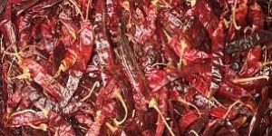Dried Chillies