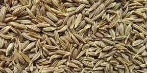 Cumin Seed