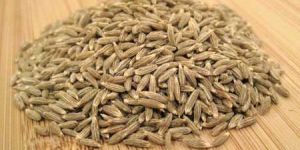 Cumin Powder