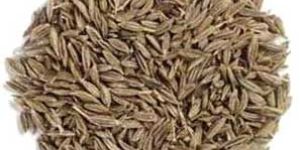 Cumin Seeds