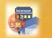 Insurance Investigation Services