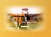 Litigation Support Services