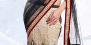 Black Net Lehenga Style Saree With Blouse