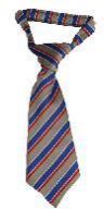 Sportswear School Tie