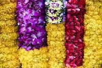 Flower Garlands