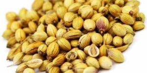 Coriander Seeds