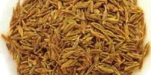 Cumin Seeds