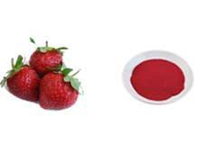 Freeze Dried Fruit Powder