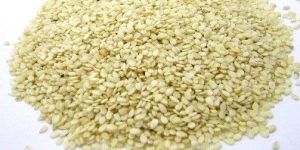 Sesame Seeds
