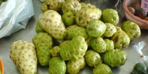 Noni Fruits
