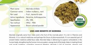 Morinda Citrifolia Extract