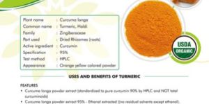 Turmeric Powder