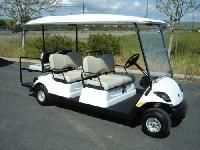 Multi Passenger Battery Vehicles