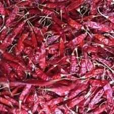 Guntur Red Chilli