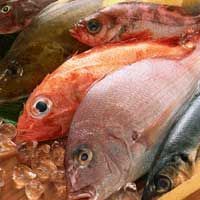 Fresh Fish