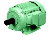 3 Phase Induction Motor