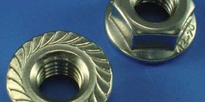 Hexagon Nuts
