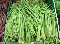 Yard Long Bean