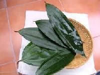 Malabar Leaf