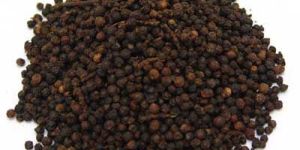 Black Pepper