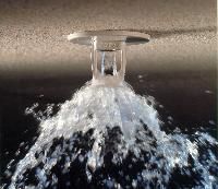 Fire Sprinkler