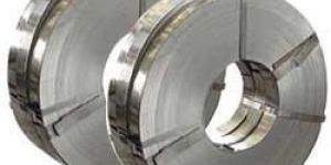 Stainless Steel Strips