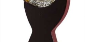 Trophies & Mementos (PSM)