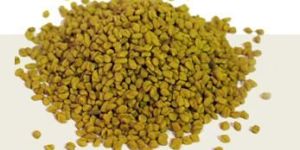 Fenugreek Seed