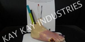 Diabetic Foot Pen Stand