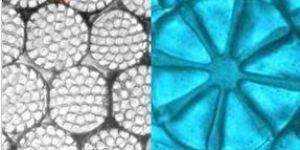 Polyester Polyamide Composite Spinning Machine