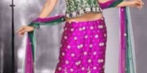 Purple Lehenga Choli