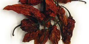 Bhut Jolokia