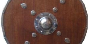 Viking Shield