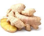 Organic Ginger