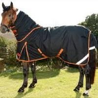 Horse Clothing