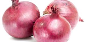 Fresh Red Onion