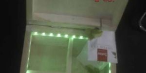 Wooden Tea Box with Green Light