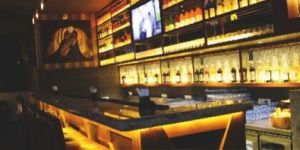 Pub Interior Designing