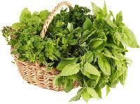 Fresh Herbs