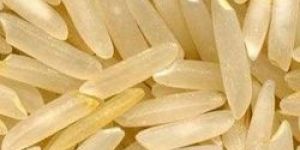 Basmati Sella 1121 White