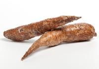 Cassava