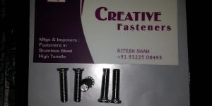 Stainless Steel Screws