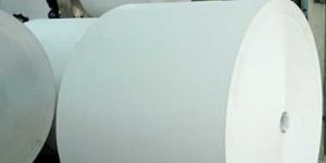 PE Coated Paper Roll