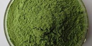 Organic Alfalfa Leaves Powder