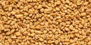 Organic Fenugreek Seeds