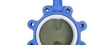 Butterfly Valve